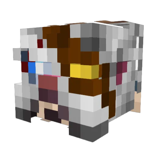 Branflakes247 Minecraft avatar head, 3D render