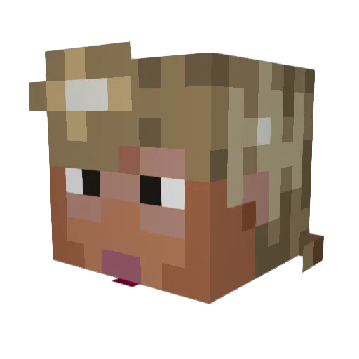 Branonjohn Minecraft avatar head, 3D render