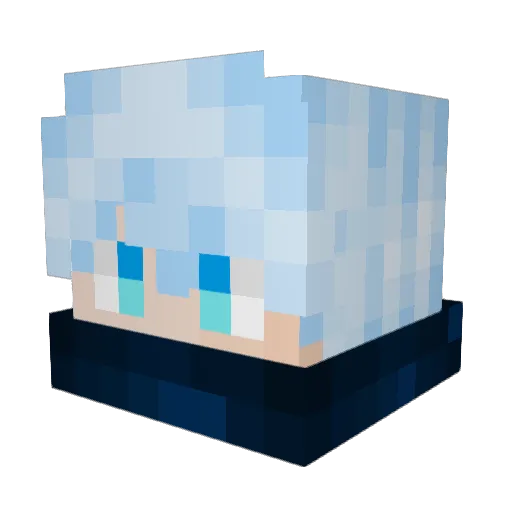 BransonMC_ Minecraft avatar head, 3D render
