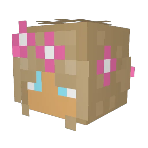 Branson_isnt_him Minecraft avatar head, 3D render