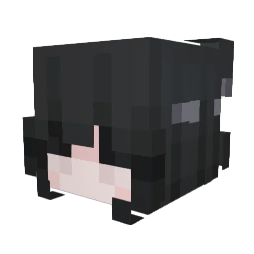 Bransongore14 Minecraft avatar head, 3D render