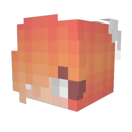BranwynMoonbeam Minecraft avatar head, 3D render