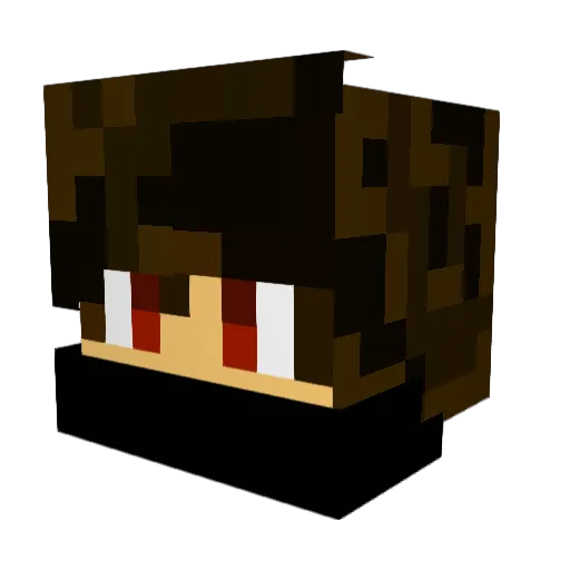 Brapplife207 Minecraft avatar head, 3D render