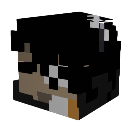 Brarius Minecraft avatar head, 3D render