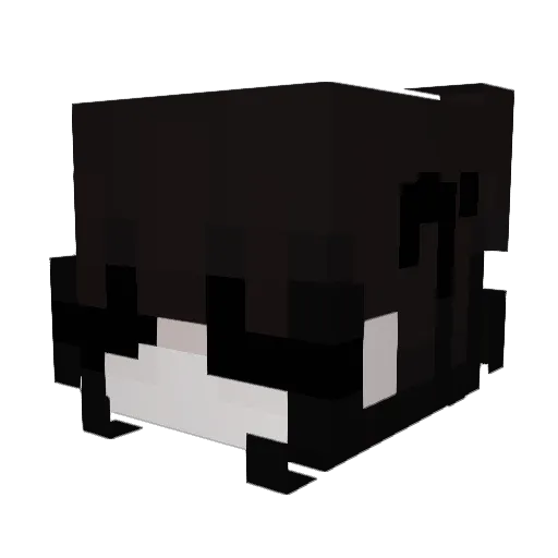 Brashboar Minecraft avatar head, 3D render