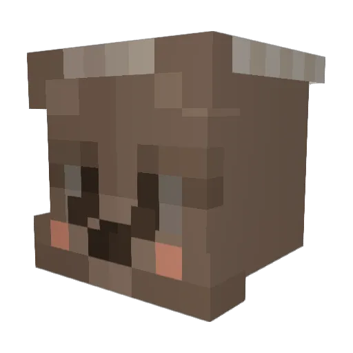 Braski67 Minecraft avatar head, 3D render