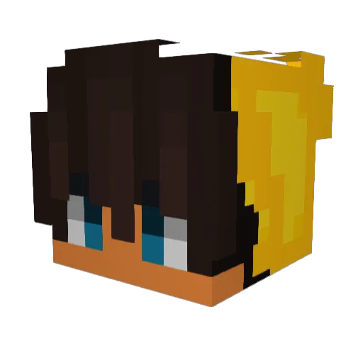 BratLoko Minecraft avatar head, 3D render