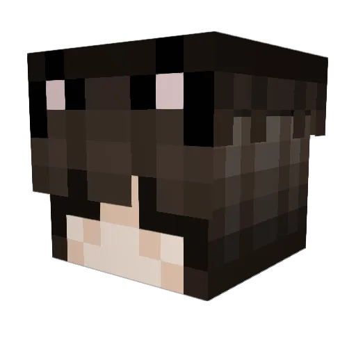 Brathe Minecraft avatar head, 3D render