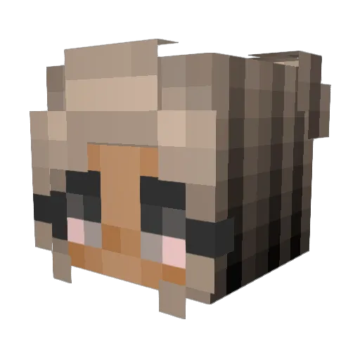 Bratley Minecraft avatar head, 3D render