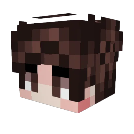 BrauchACSettings Minecraft avatar head, 3D render