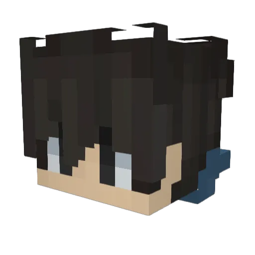 BrauchKeinenName Minecraft avatar head, 3D render