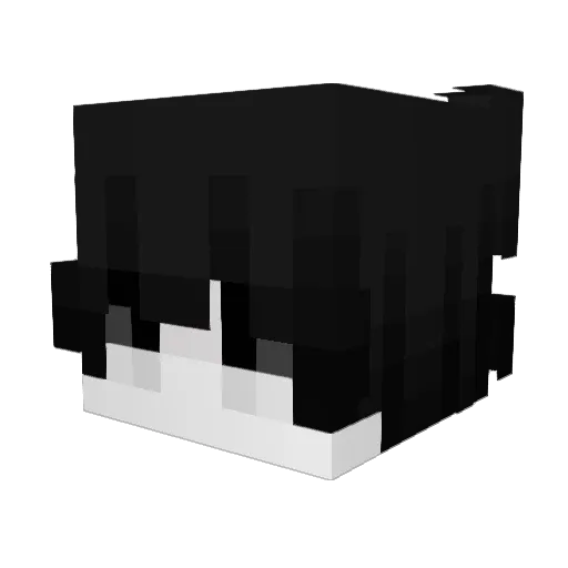 Braum2137 Minecraft avatar head, 3D render