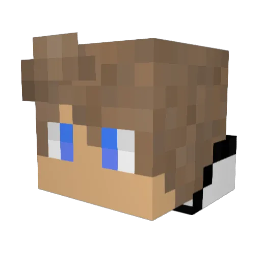 Braundna Minecraft avatar head, 3D render