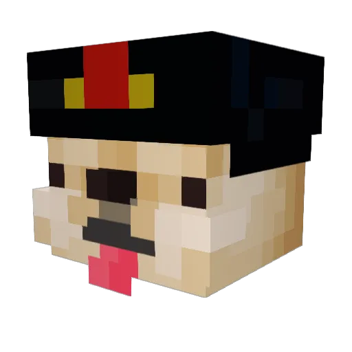 BraunerFurz Minecraft avatar head, 3D render