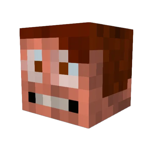Braunwing Minecraft avatar head, 3D render