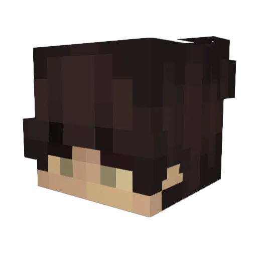 Brauseflummi22 Minecraft avatar head, 3D render