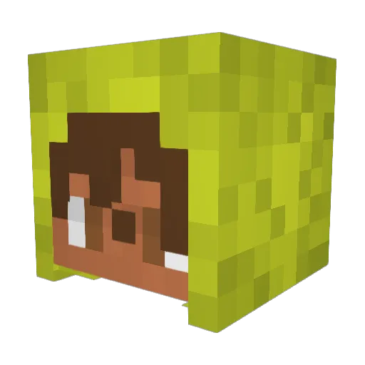 BraveHearth Minecraft avatar head, 3D render