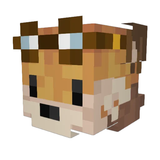 BraveMenta Minecraft avatar head, 3D render
