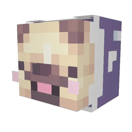BravePugKnight Minecraft avatar head, 3D render