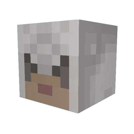BraveknightTR Minecraft avatar head, 3D render