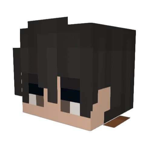 BravexYT Minecraft avatar head, 3D render