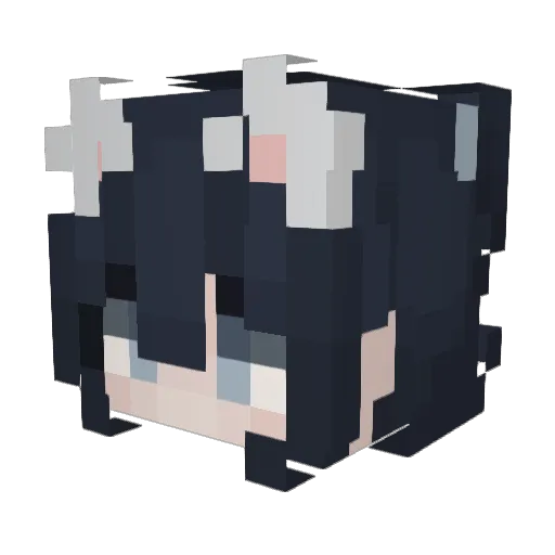 Bravo20020 Minecraft avatar head, 3D render