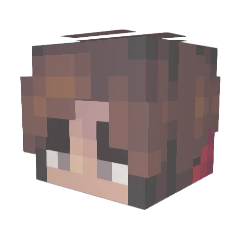 Bravo6_GoingDark Minecraft avatar head, 3D render