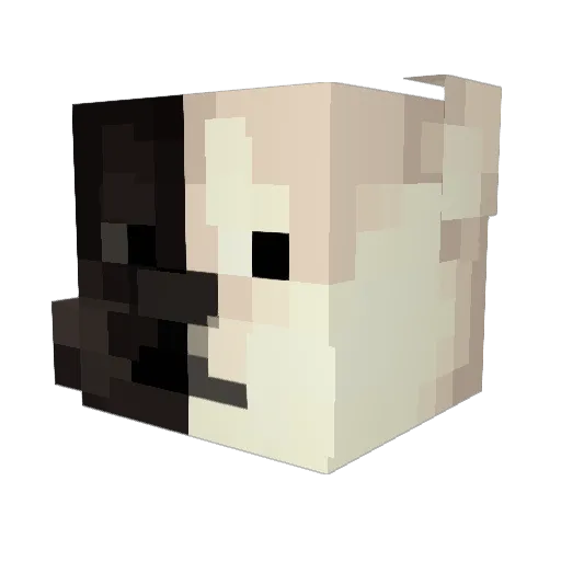 BravoLesFemmes Minecraft avatar head, 3D render