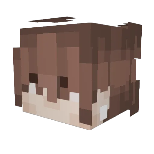 Bravo_7_9 Minecraft avatar head, 3D render
