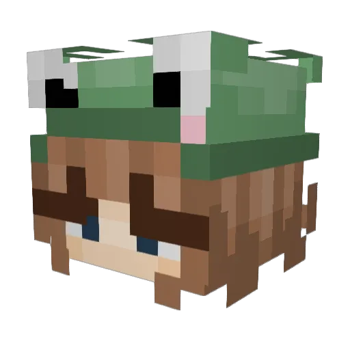 BrawlyScroll499 Minecraft avatar head, 3D render