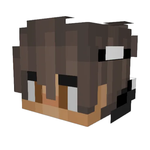 Brawny284 Minecraft avatar head, 3D render