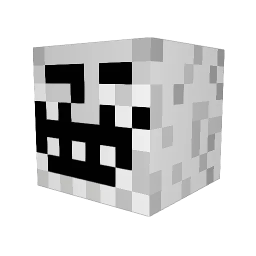BraxGaming Minecraft avatar head, 3D render
