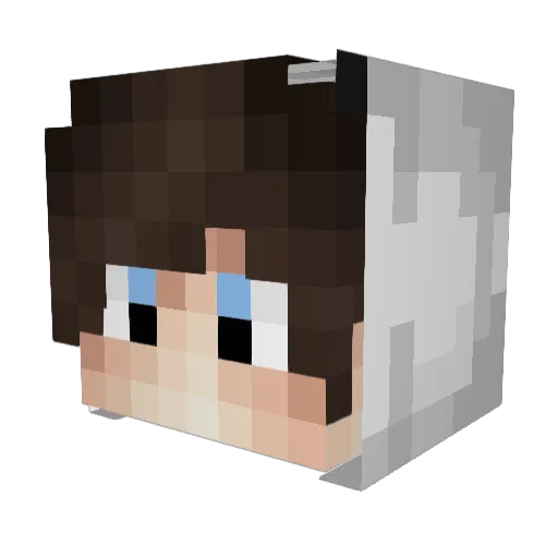 BraxJo Minecraft avatar head, 3D render