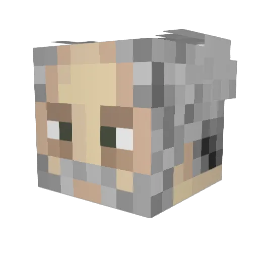 Braxneir Minecraft avatar head, 3D render