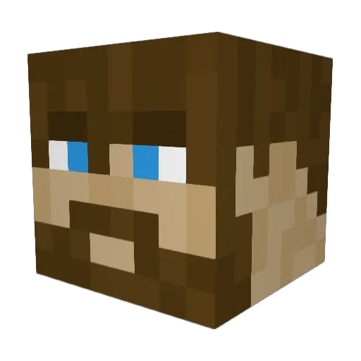 Braxt0 Minecraft avatar head, 3D render