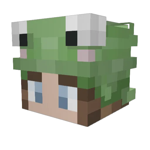 BraxtonG Minecraft avatar head, 3D render