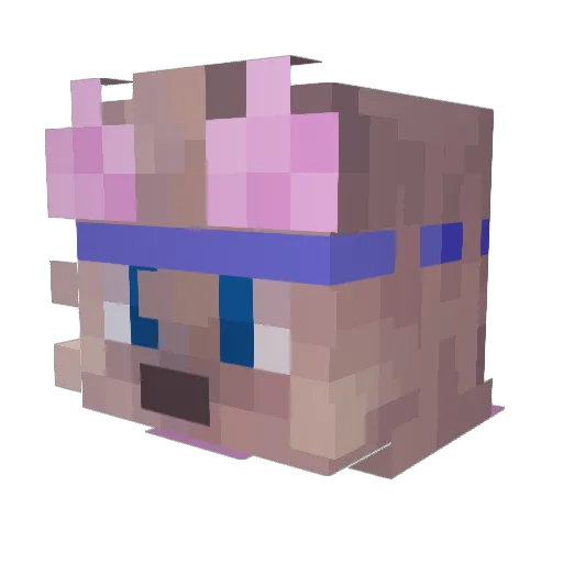BraxylGames Minecraft avatar head, 3D render