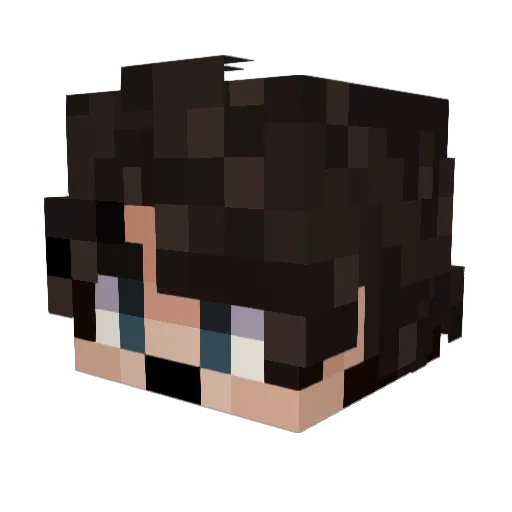 Bray1024 Minecraft avatar head, 3D render