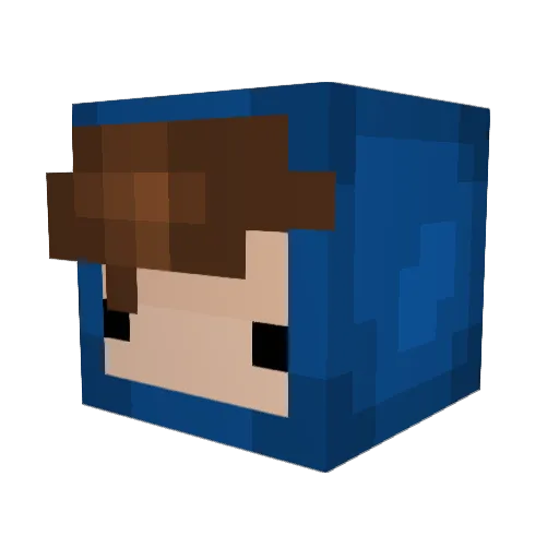 Bray9906 Minecraft avatar head, 3D render