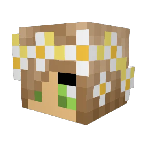 BrayQuin Minecraft avatar head, 3D render