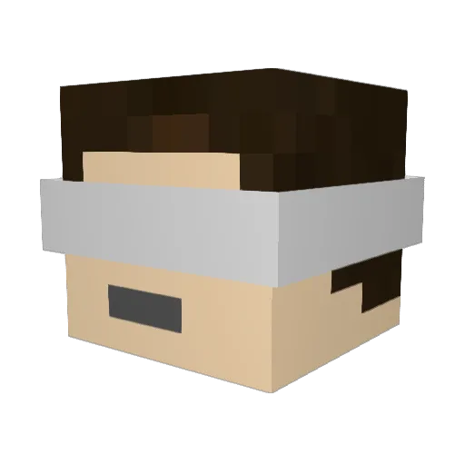 Bray_Cam Minecraft avatar head, 3D render