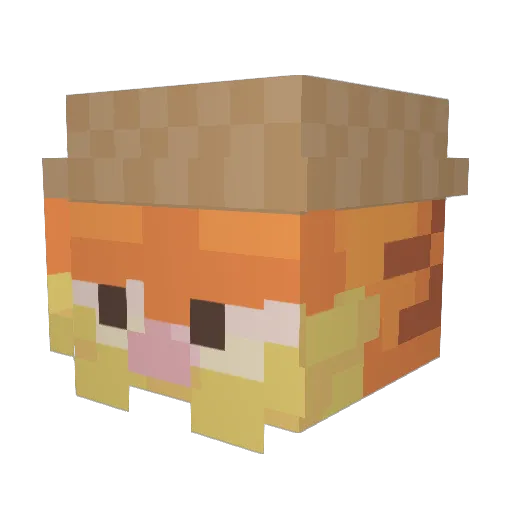 Brayan17 Minecraft avatar head, 3D render