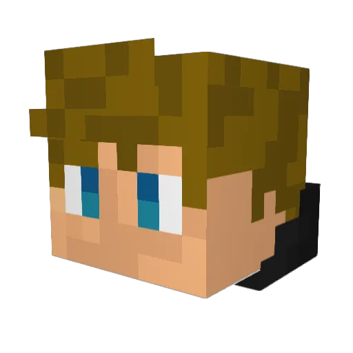 Brayden9111 Minecraft avatar head, 3D render