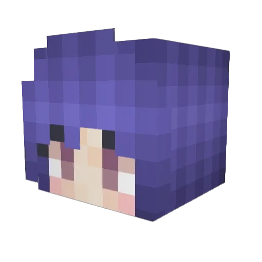 BraydenDavid12 Minecraft avatar head, 3D render
