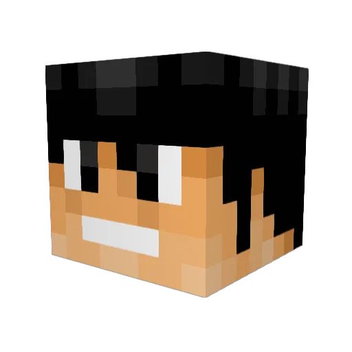 BraydenDgrea Minecraft avatar head, 3D render