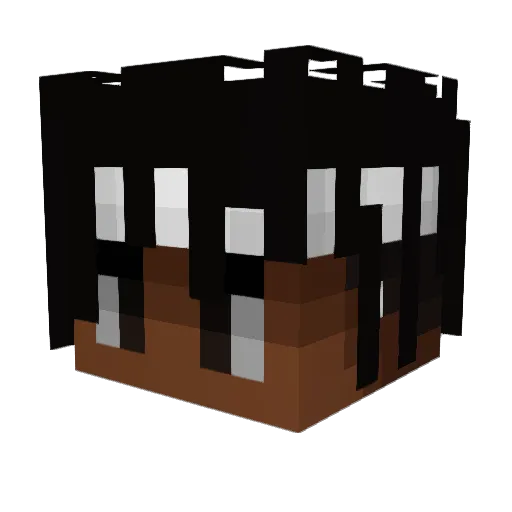 BraydenLovesBoys Minecraft avatar head, 3D render