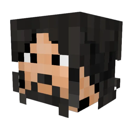 BraydenV1403 Minecraft avatar head, 3D render