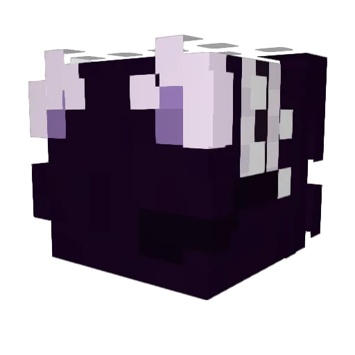 BraydenZinsli Minecraft avatar head, 3D render