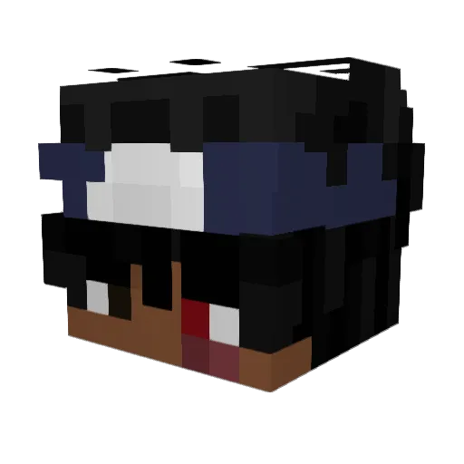 Braydeno980 Minecraft avatar head, 3D render