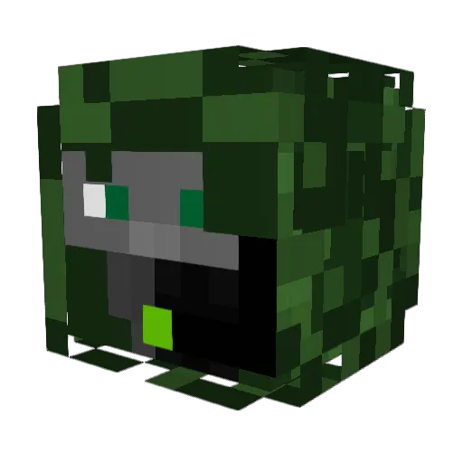 Braydin98 Minecraft avatar head, 3D render